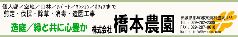 タイトルイメージ
